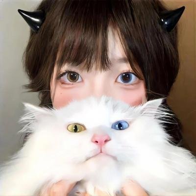 刺客子弹